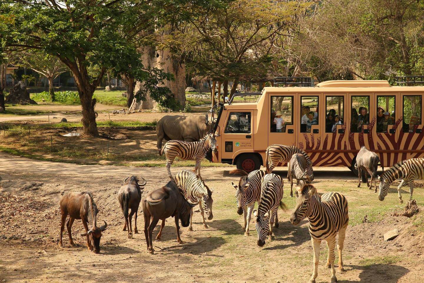 bali safari and marine park, bali night safari