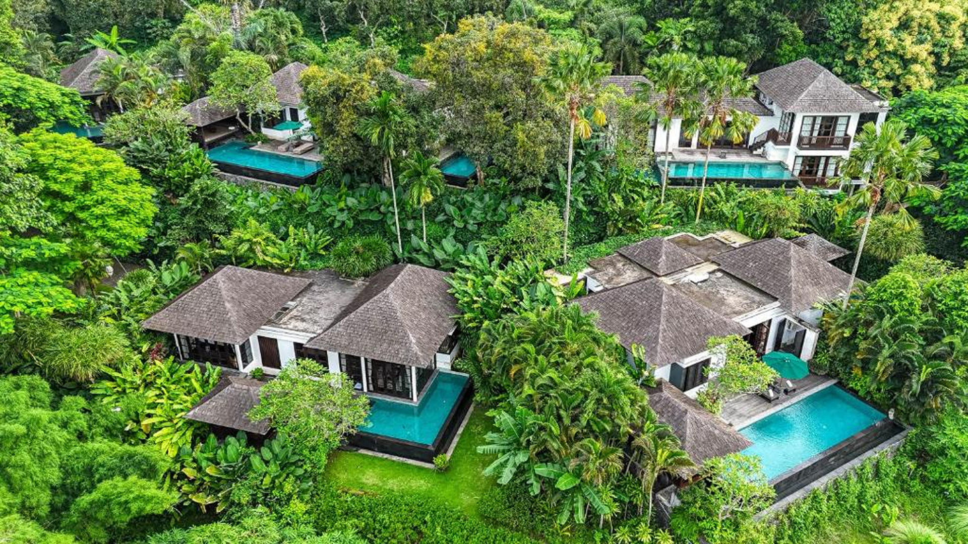 Damai Lovina