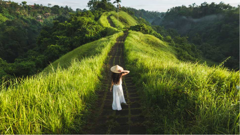 Campuhan Ridge Walk