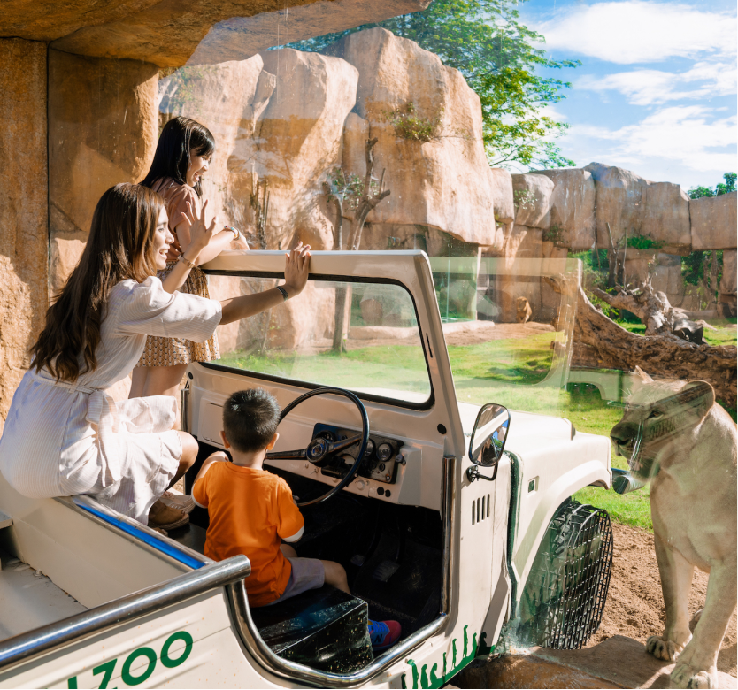 things to do in ubud - bali zoo