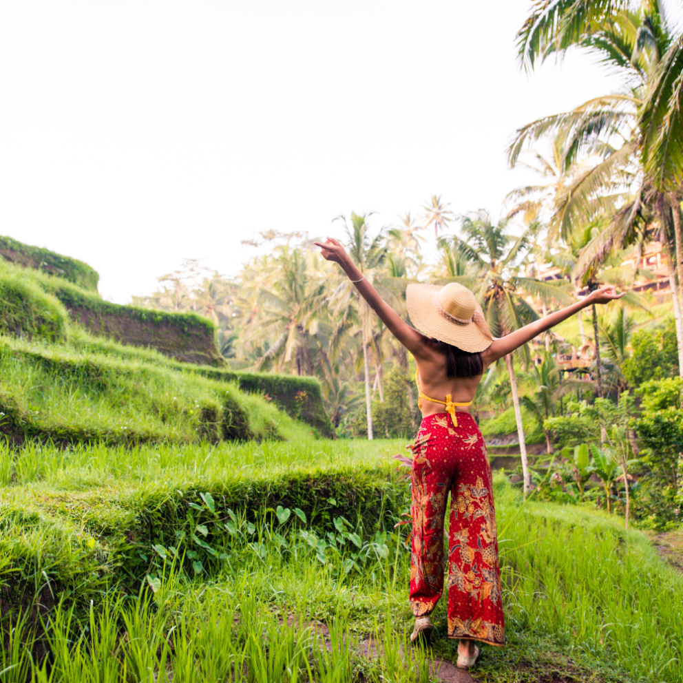 tegalalang ricefield