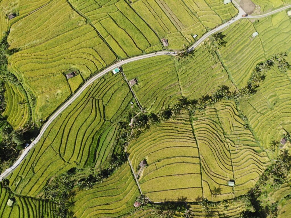 jatiluwih unesco bali
