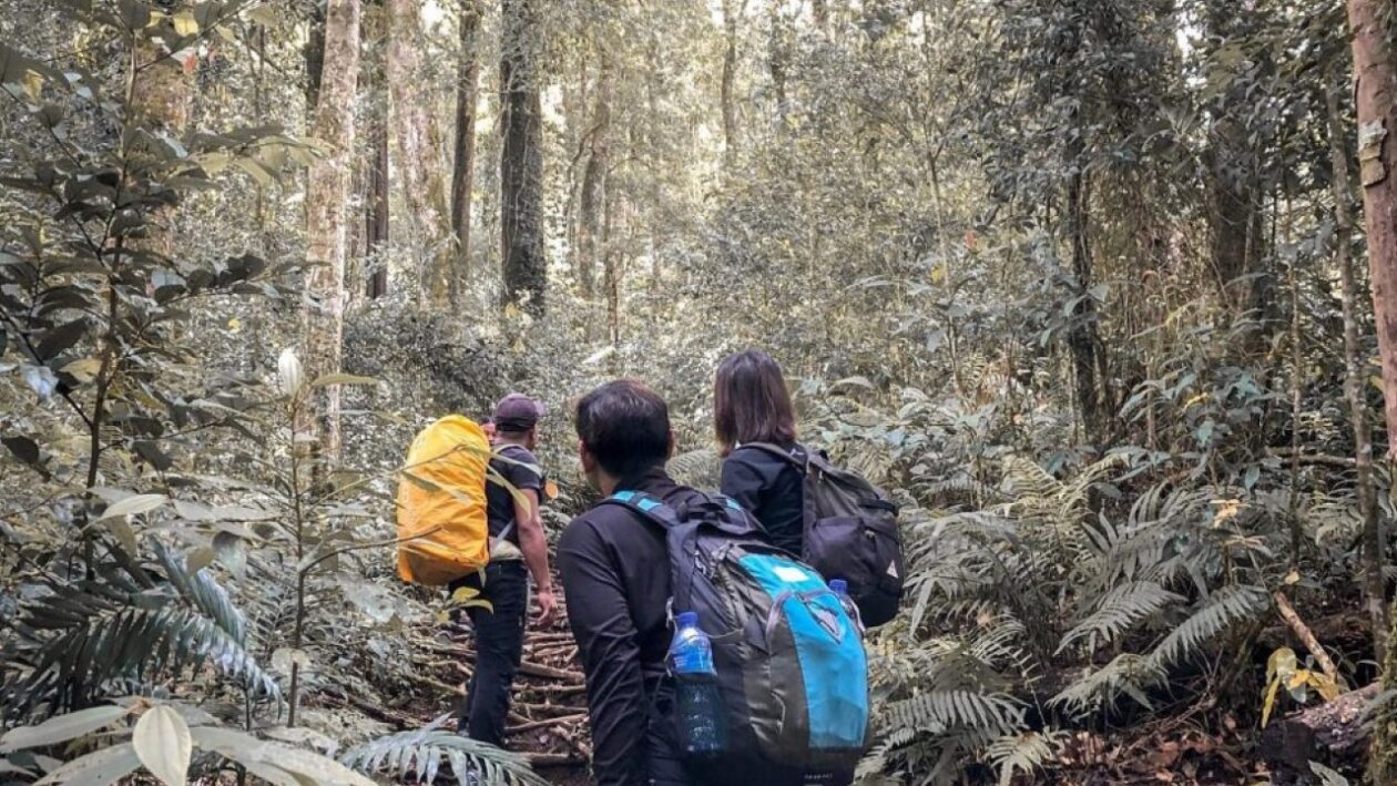 Climb Mount Batukaru