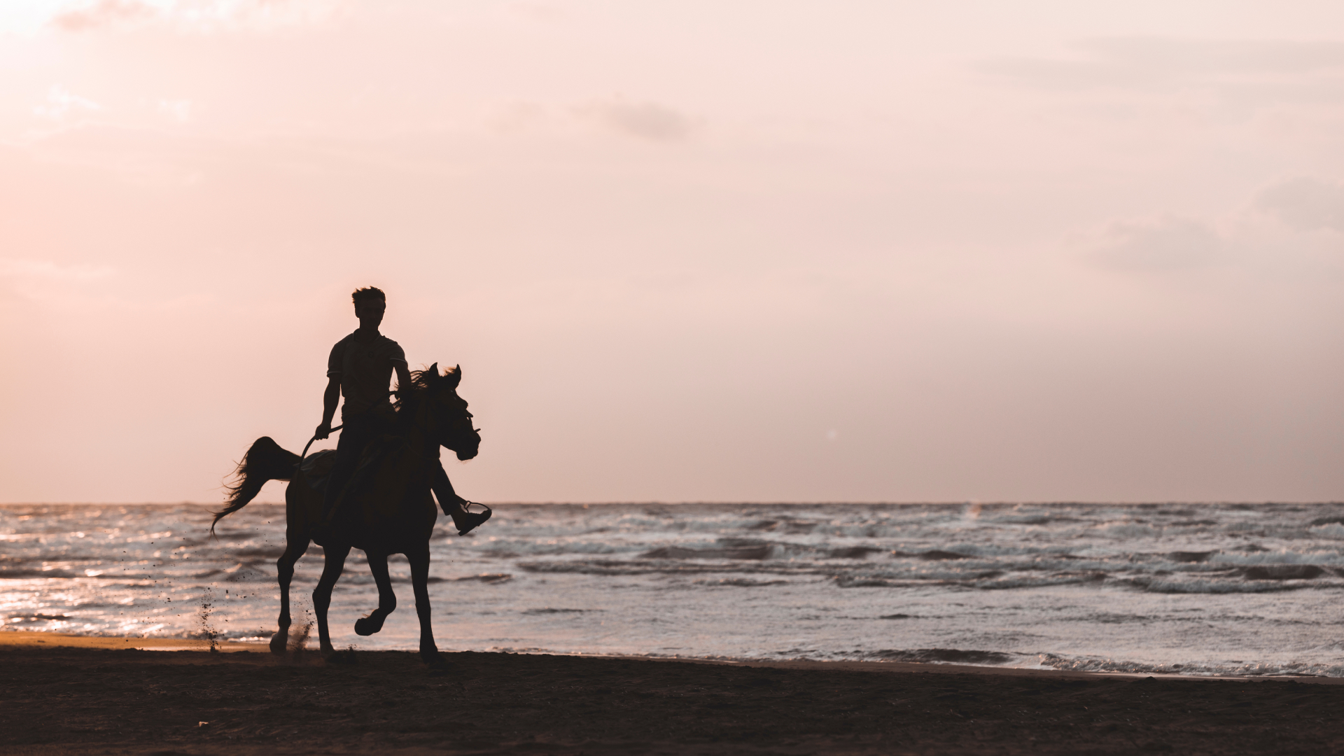 Best Horse Riding in Bali: Final Experience Guide