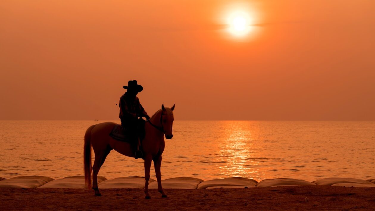 man riding horse in beach
