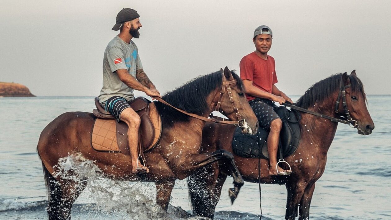 Horse Bali Candidasa