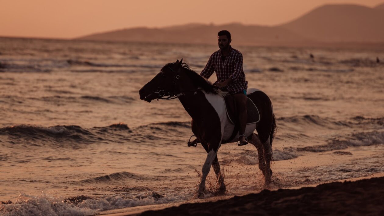 man riding horse in beach