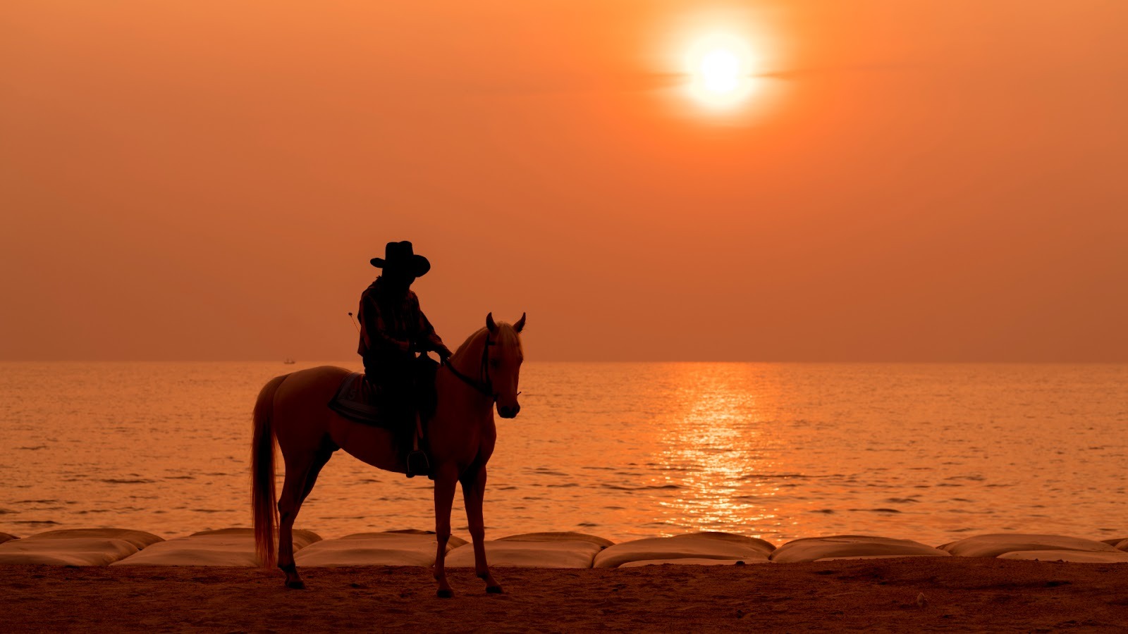 Best Horse Riding in Bali: Final Experience Guide